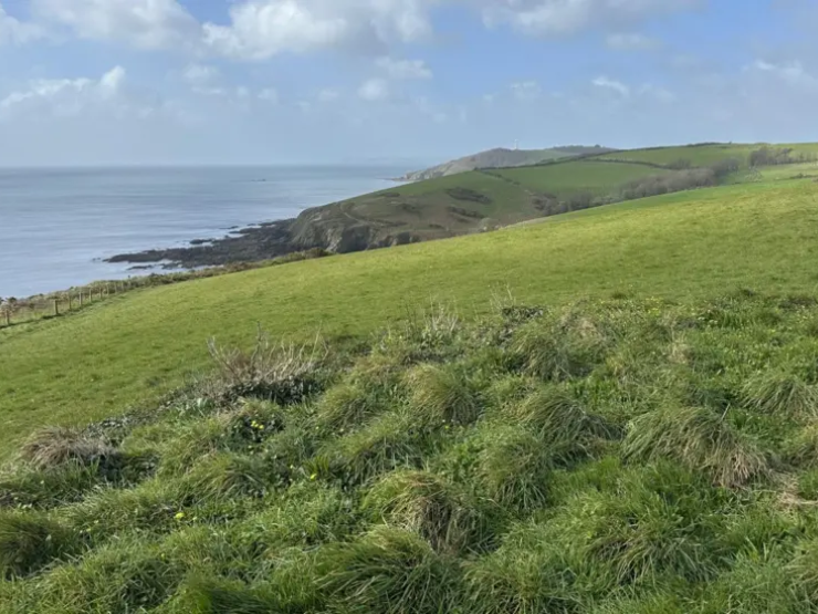 NATIONAL TRUST CORNWALL.png