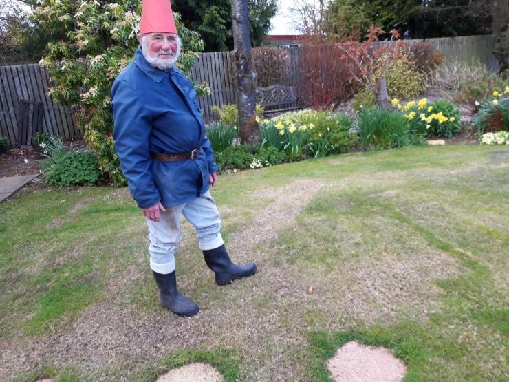 Alan Harper gnome 1.jpg