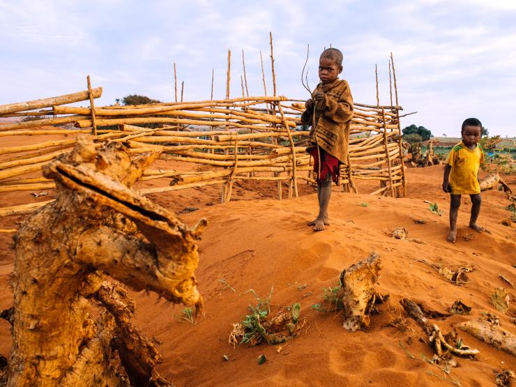 Madagascar image.jpg
