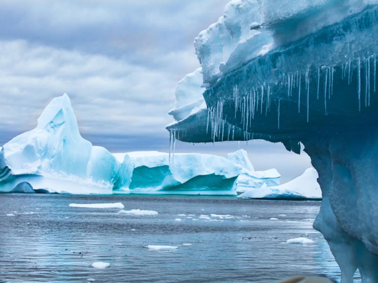 Antarctic pic.jpg