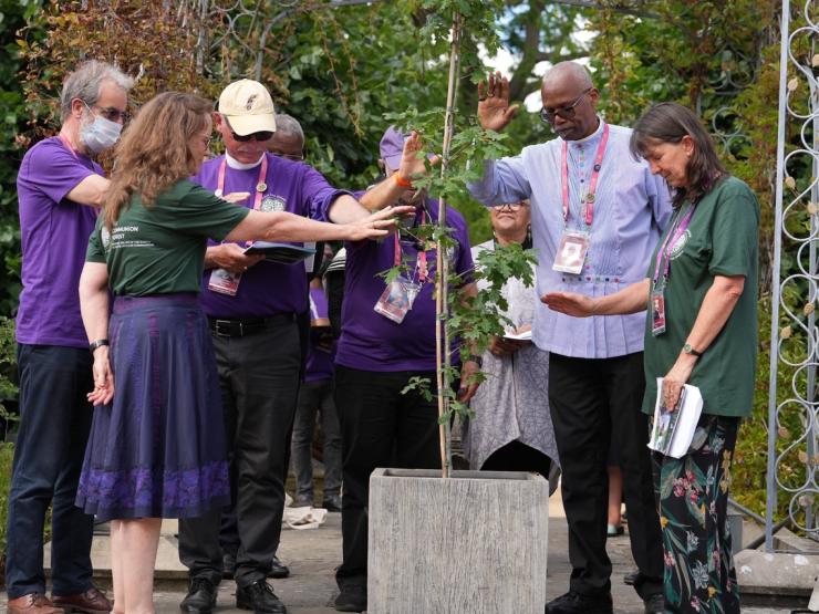 Lambeth Conference tree.png