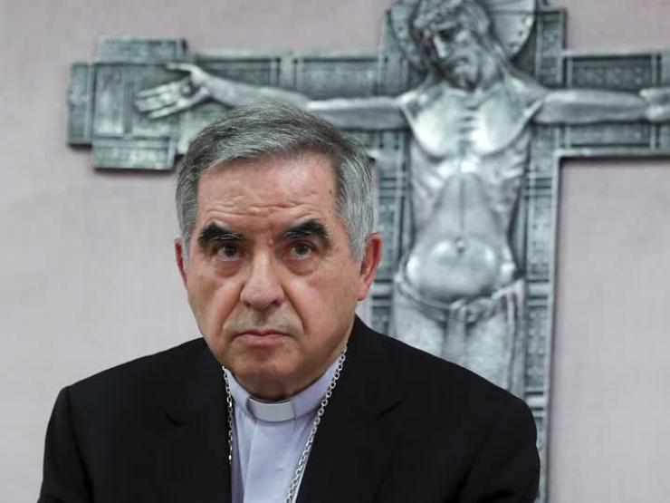 Cardinal picb.JPG