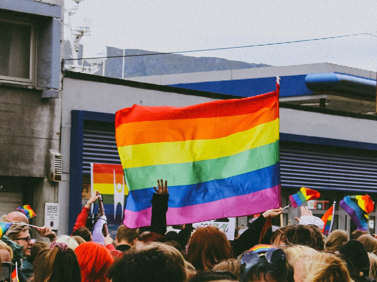 LGBT FLAG THUMB.jpg