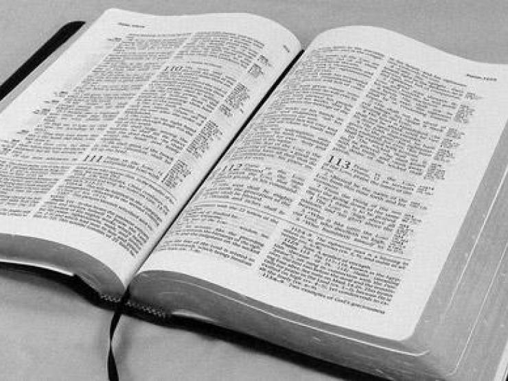reading-bible-main_article_image.jpg
