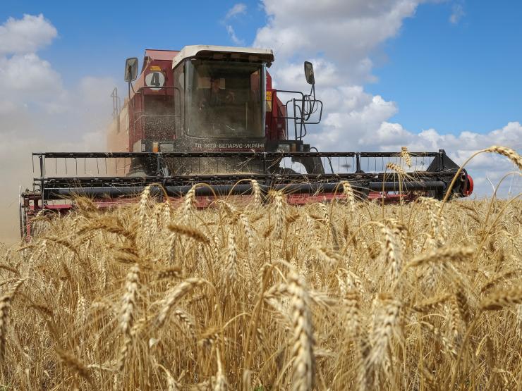 Ukraine grain pic.JPG