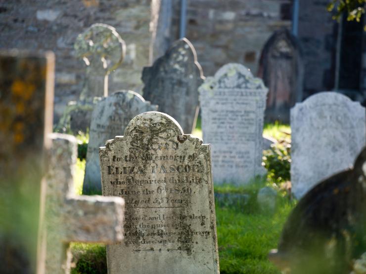 C159P7 (1).jpg