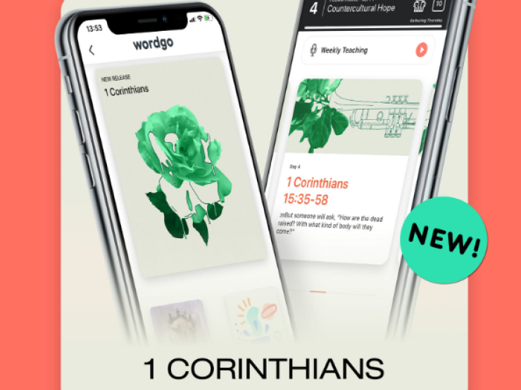 wordgo.PNG_thumbnail.PNG