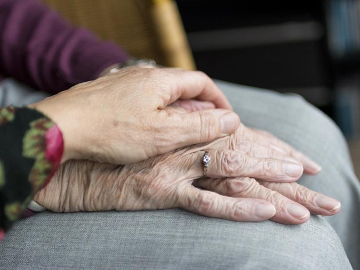 Hands PIXABAY.jpg