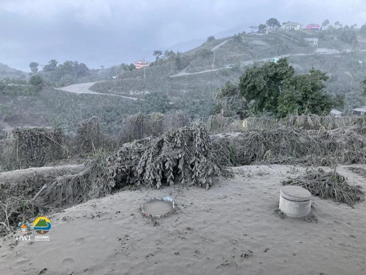 credit R. Robertson UWI SRC