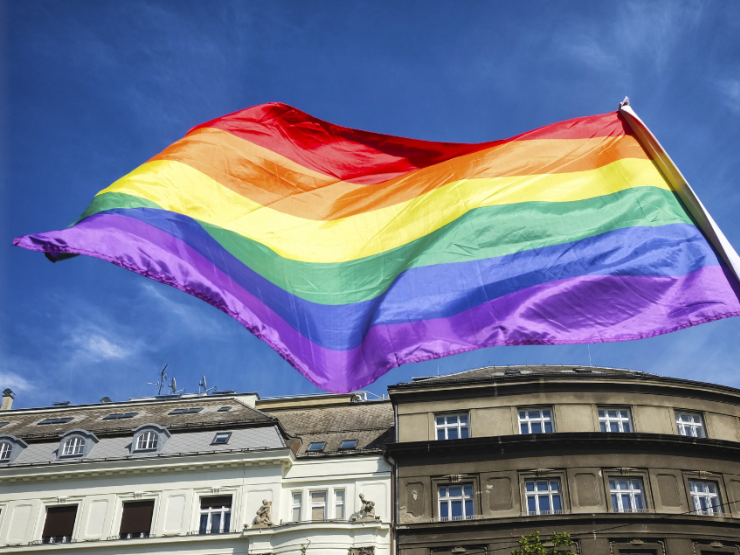 LGBT flag thumb 3.PNG