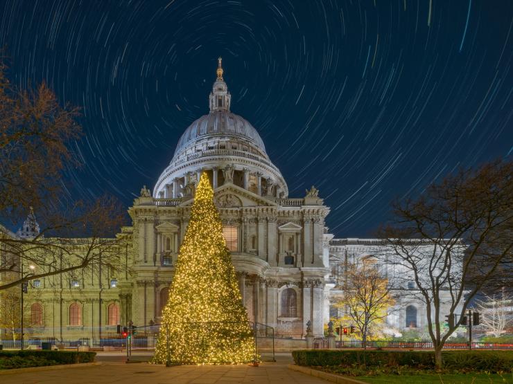 The St Paul's Christmas Tree.jpg