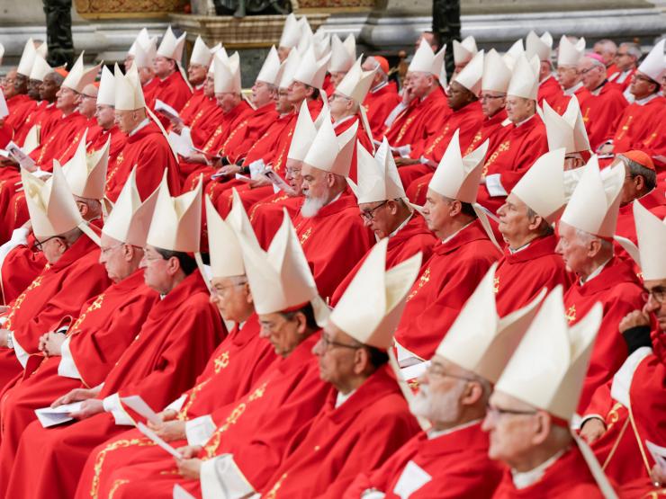 Cardinal group.JPG