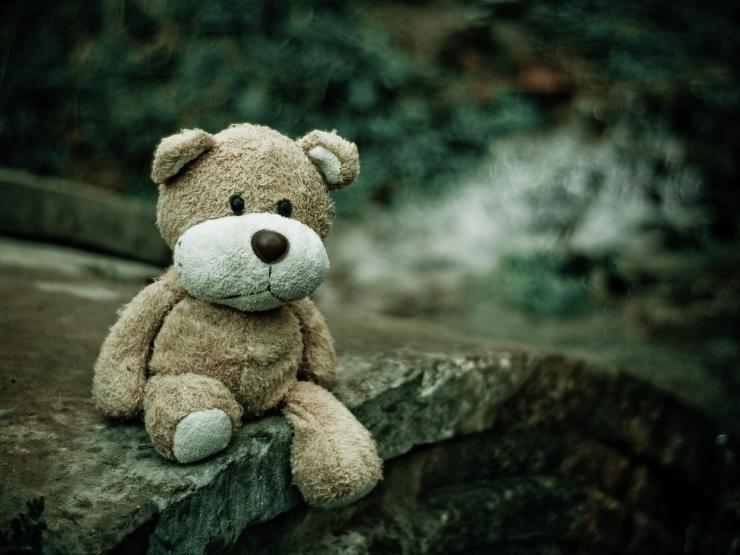 teddy-bear-1835598_1920.jpg