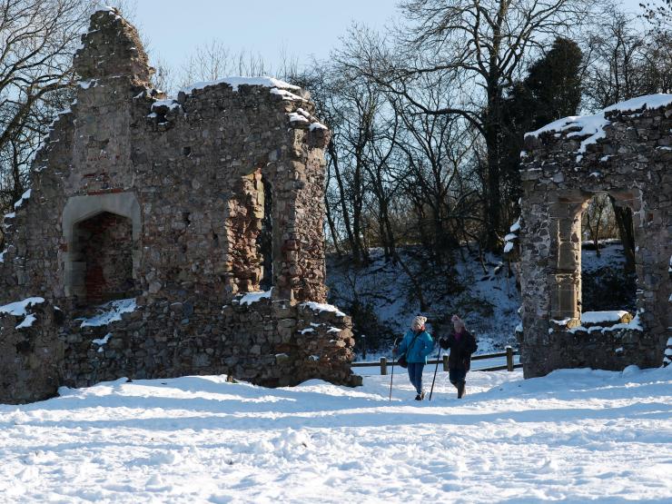 grace dieu priory