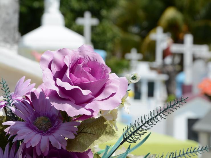 Flowers graveyard cemetary will legacy Image by a vlankaa from pixabay..jpg