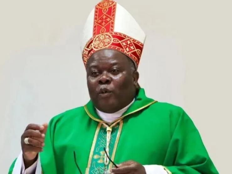 Mozambique Bishop.jpeg