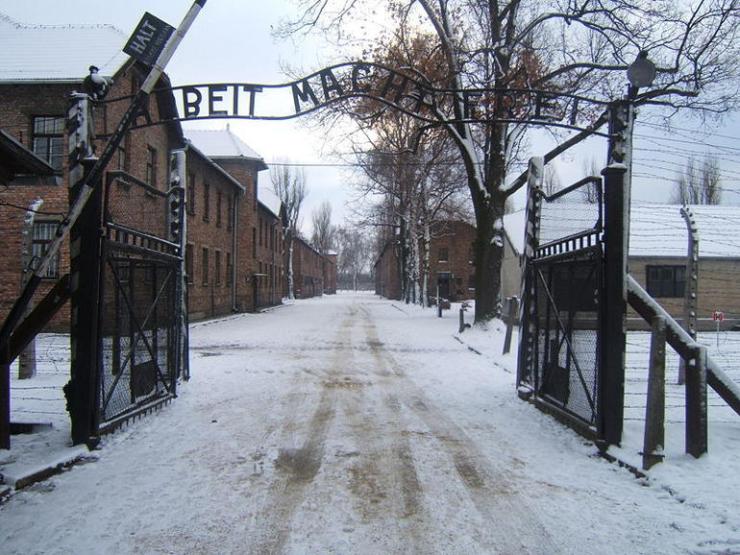 Auschwitz-thumb_galleryfull.jpg
