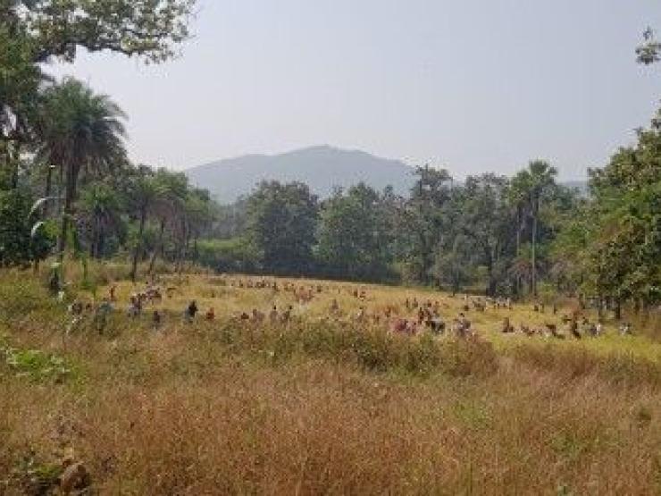 Chattisgarh.jpg