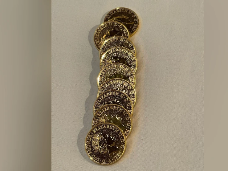 Gold Coins BBC.png