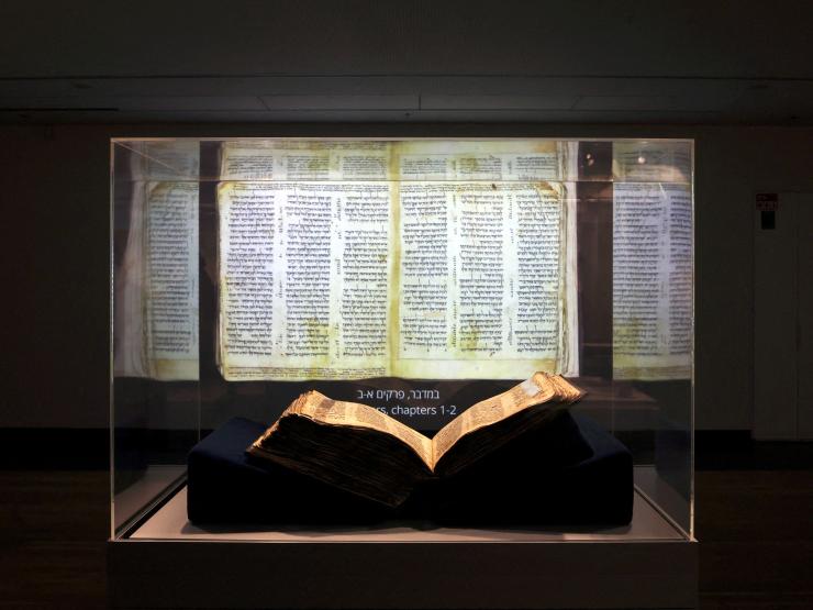 CODEX SASSOON.JPG