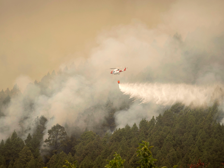 Tenerife - Aug 18 2023 - Thumb - Wildfires.jpg