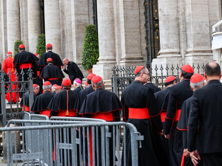 Group of cardinals.JPG