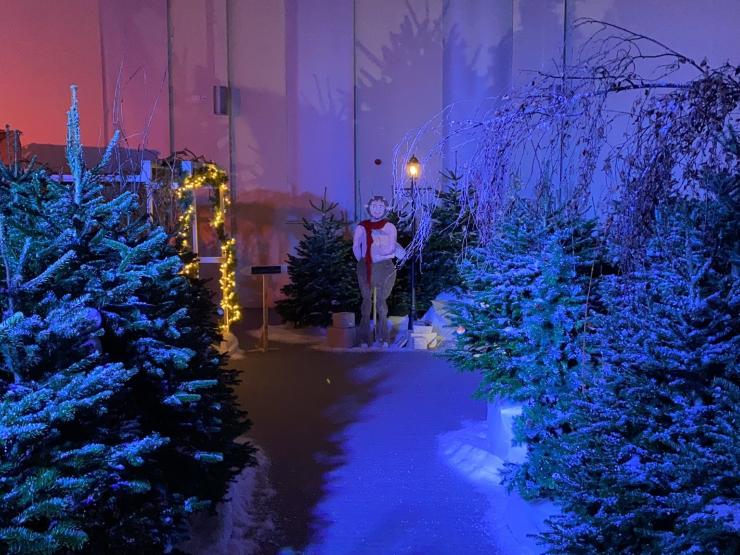 Narnia Mr Tumnus Cornerstone Colin Webster Twitter.jpg