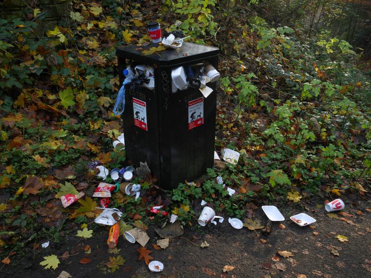 Litter.jpg
