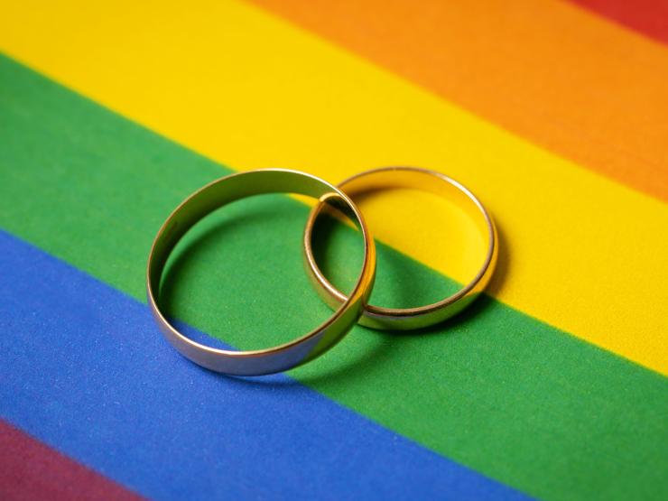 same sex pic.jpg